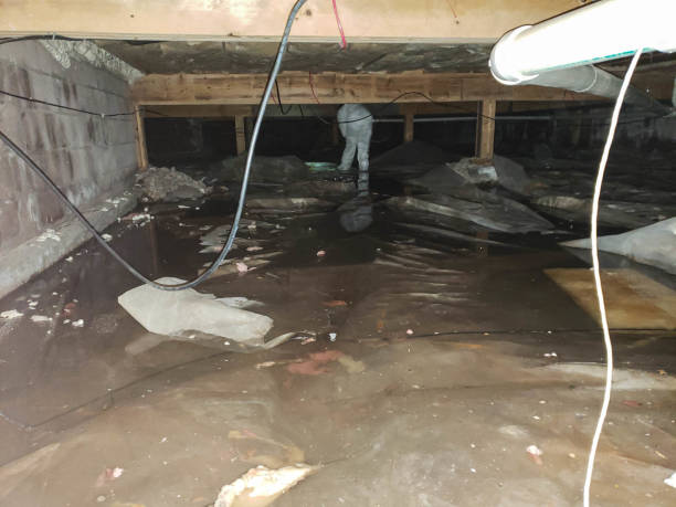 Trusted Water Damage Restoration in New Haven, MO | Fast, Reliable, and Ready to Assist You